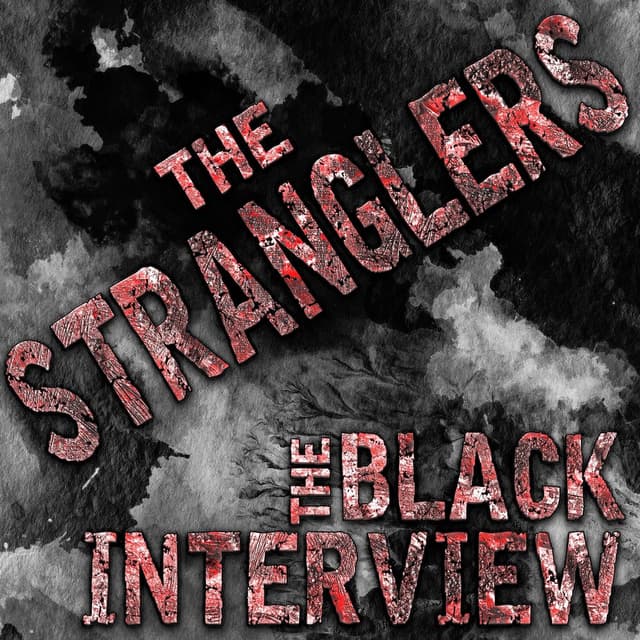 The Black Interview album cover