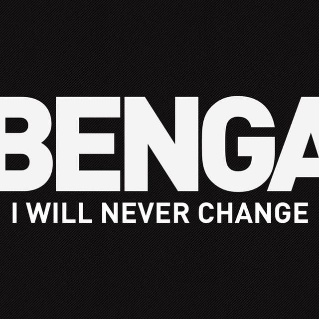 I Will Never Change (2012) cover