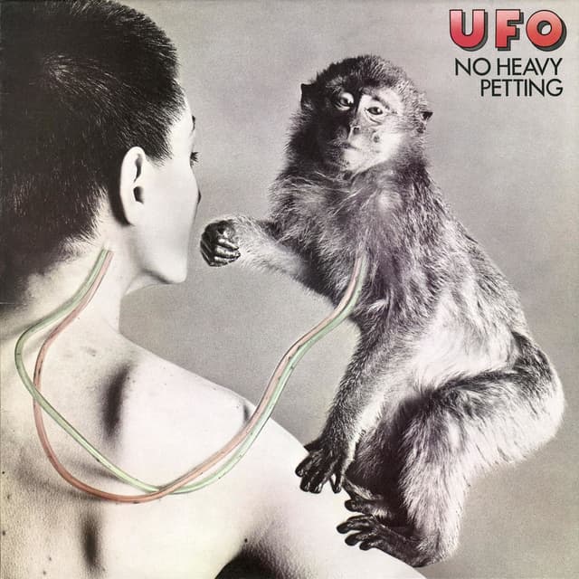 No Heavy Petting (2007 Remaster) cover