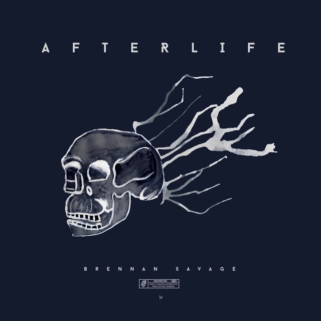 Afterlife cover