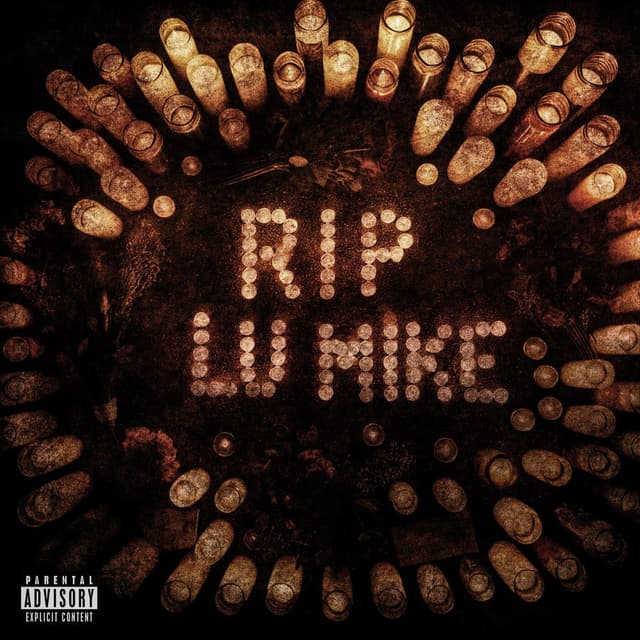 RIP LU MIKE cover