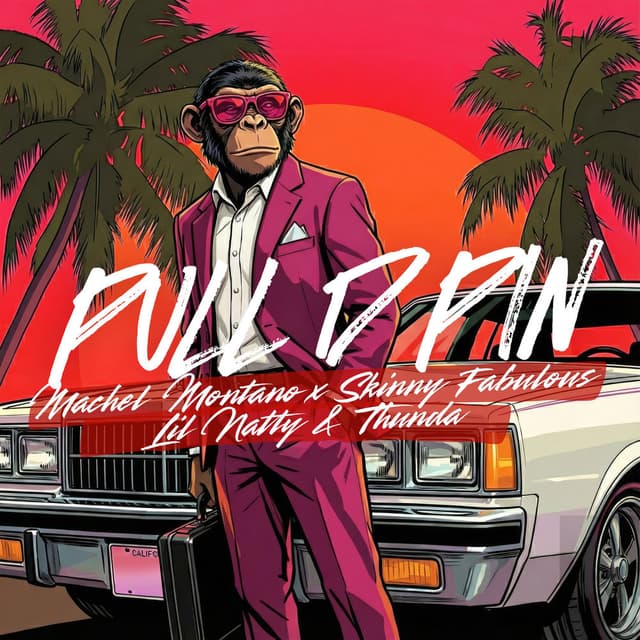 Pull D Pin cover