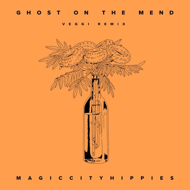 Ghost On The Mend (veggi remix) cover