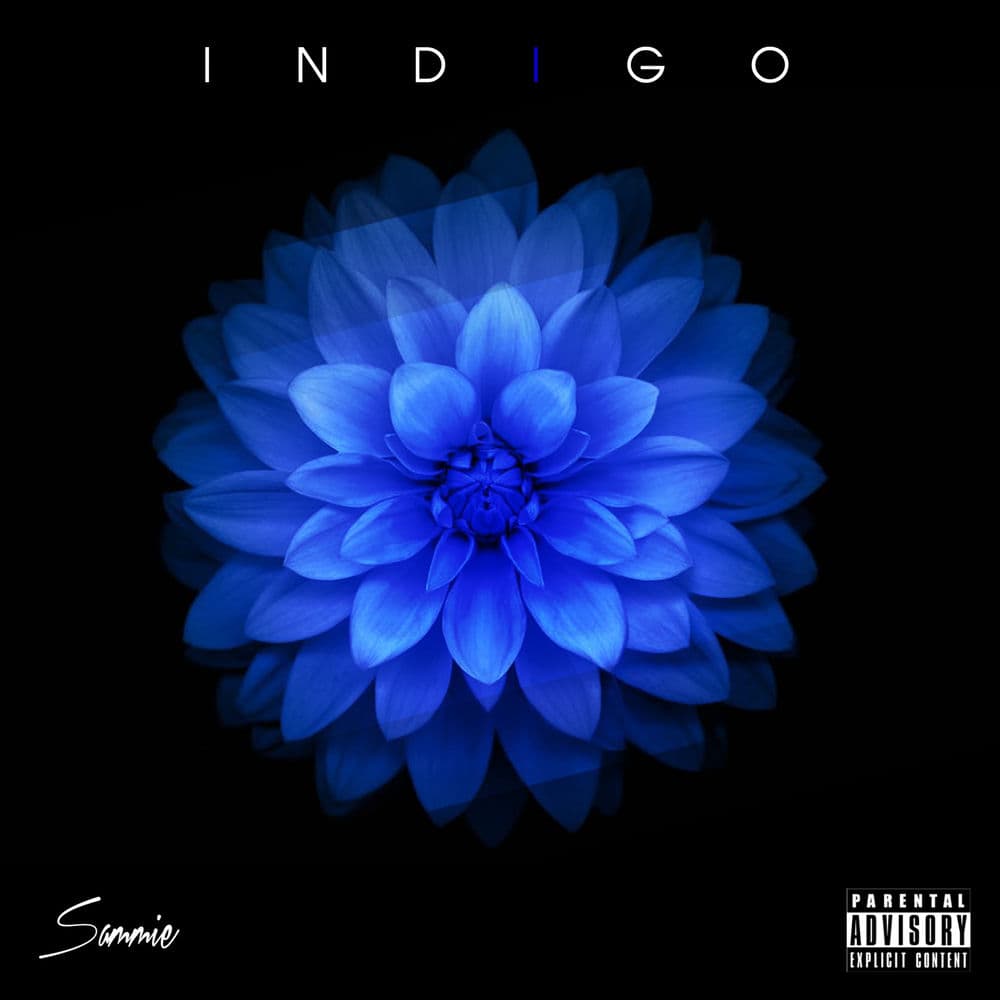 Indigo cover