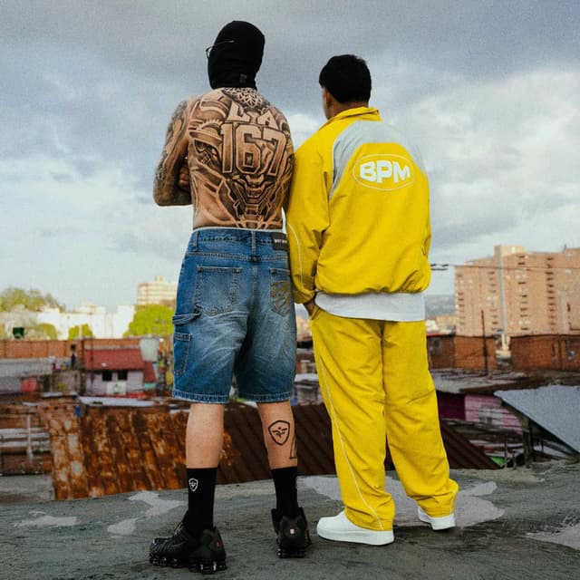 OE OE cover
