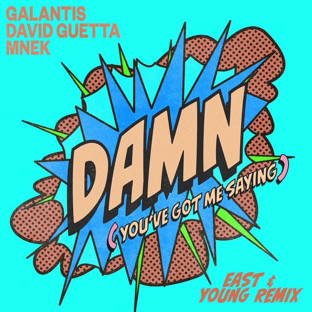 Damn (You’ve Got Me Saying) (East & Young Remix) cover