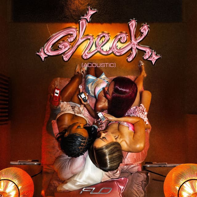 Check (Acoustic) cover