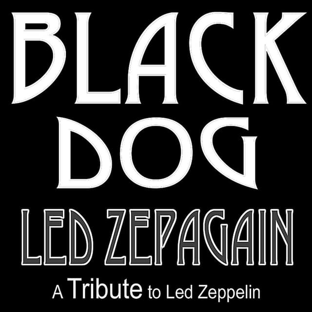 Black Dog cover
