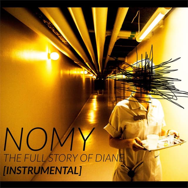 The full story of Diane (Instrumental) cover