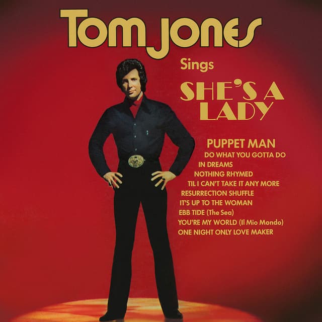 Tom Jones Sings She's A Lady cover