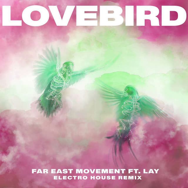 Lovebird (Electro House Remix) cover