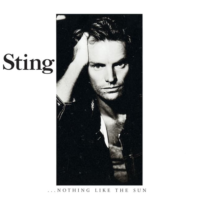 ...Nothing Like the Sun cover