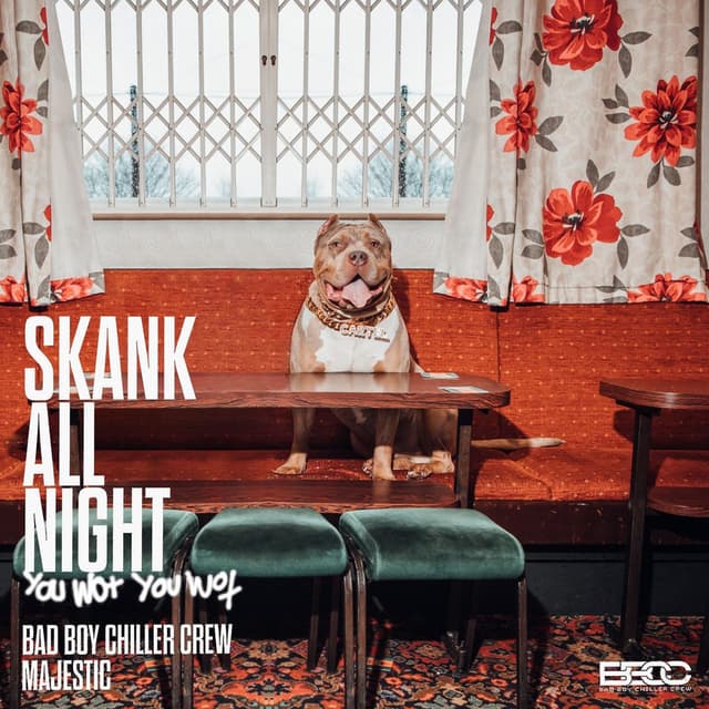 Skank All Night (You Wot, You Wot) cover