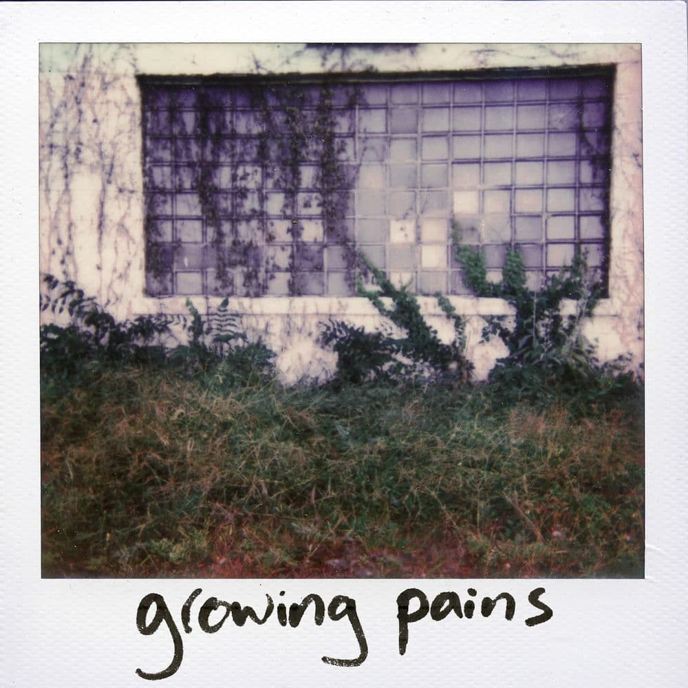 Growing Pains cover