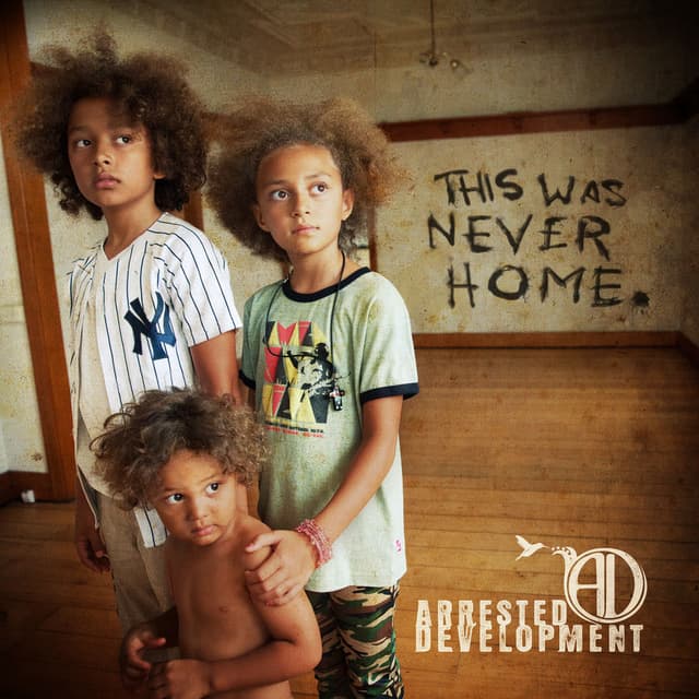 This Was Never Home cover