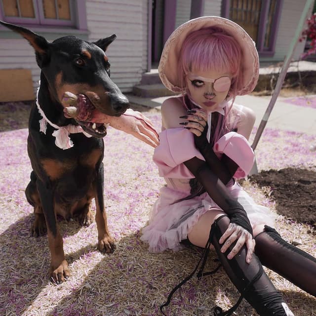 Yandere cover