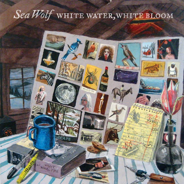 White Water, White Bloom cover