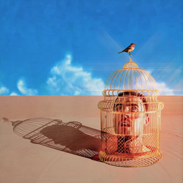 Can't Be Wrong cover