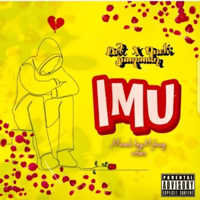 IMU cover