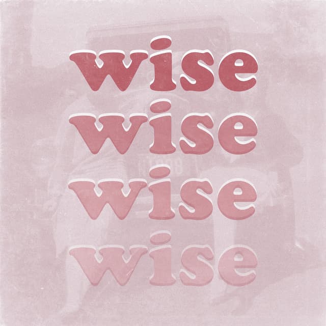 Wise cover