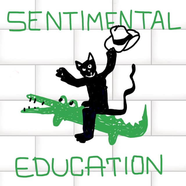 Sentimental Education album cover