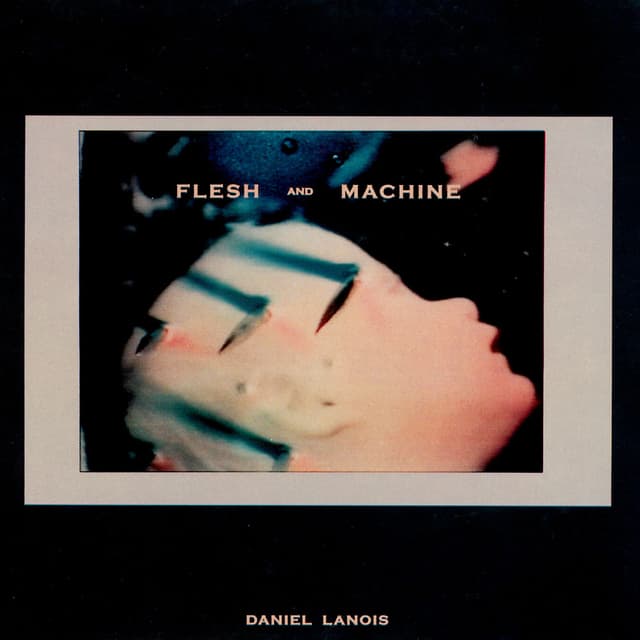 Flesh and Machine album cover