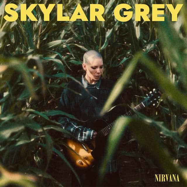 Nirvana cover
