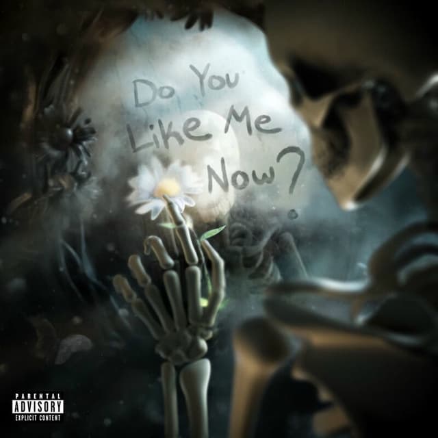 Do You Like Me Now album cover