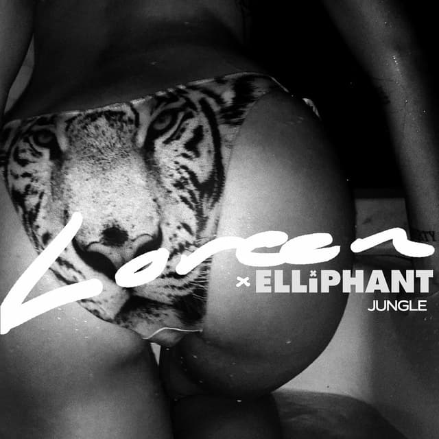 Jungle cover