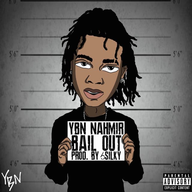 Bail Out cover