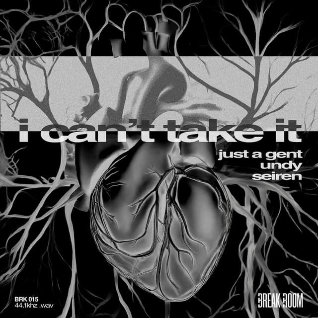 I Can't Take It cover