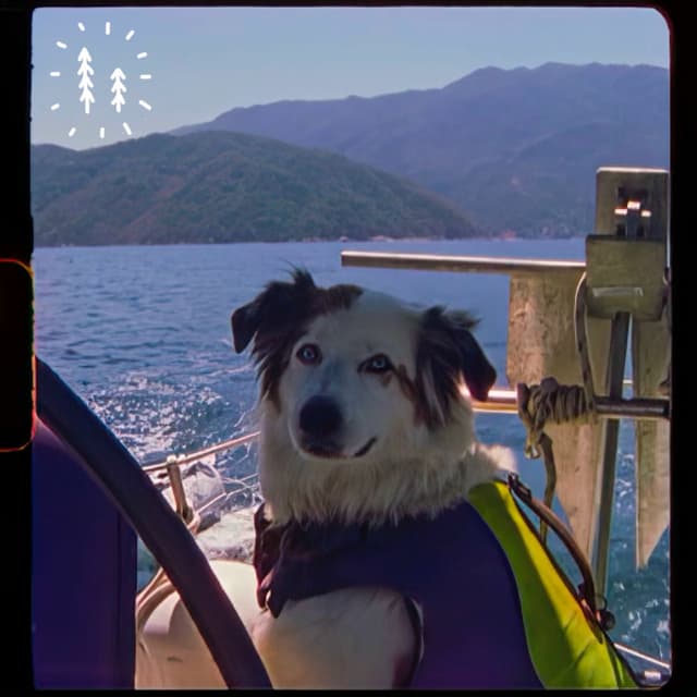 Mexico cover
