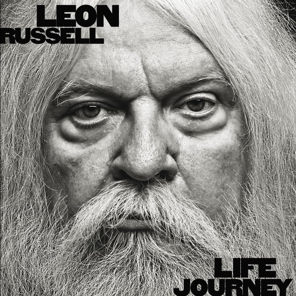 Life Journey cover