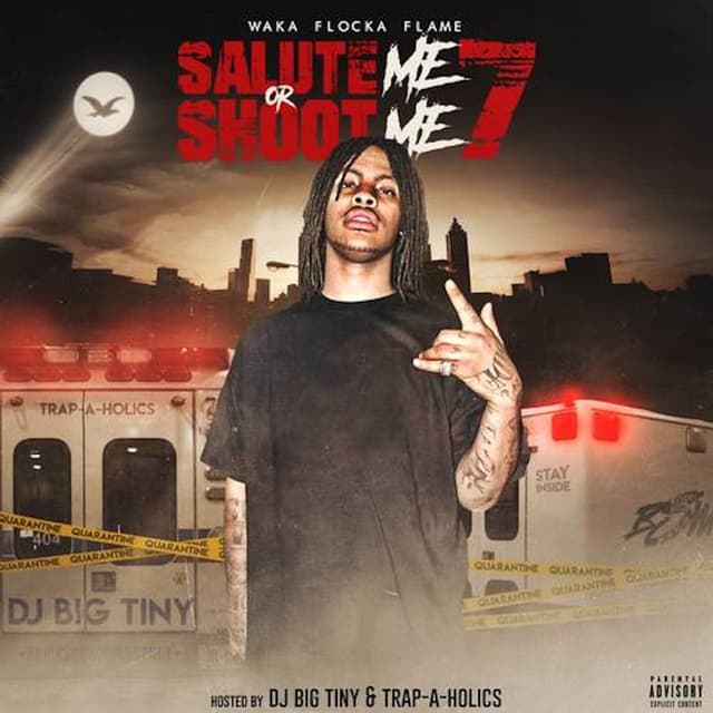 Salute Me or Shoot Me 7 cover