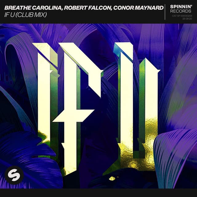 IF U (Club Mix) cover