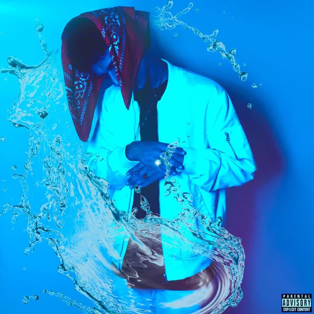 Dripper cover