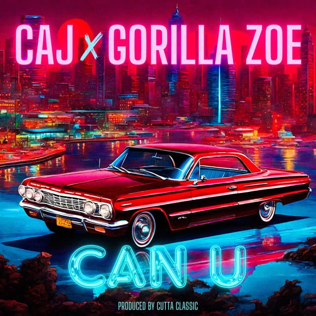Can U (Clean) cover