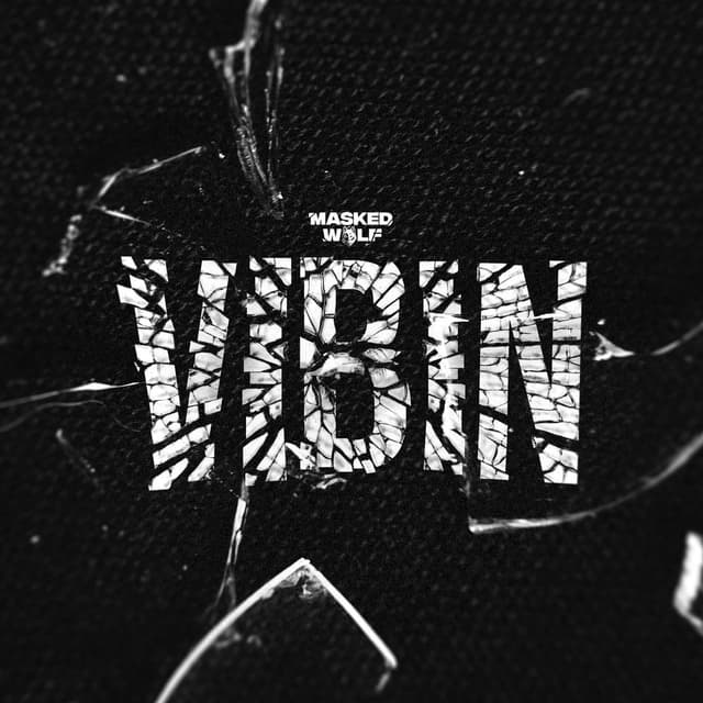 Vibin cover