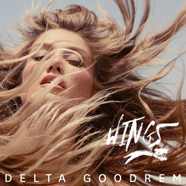 Wings cover