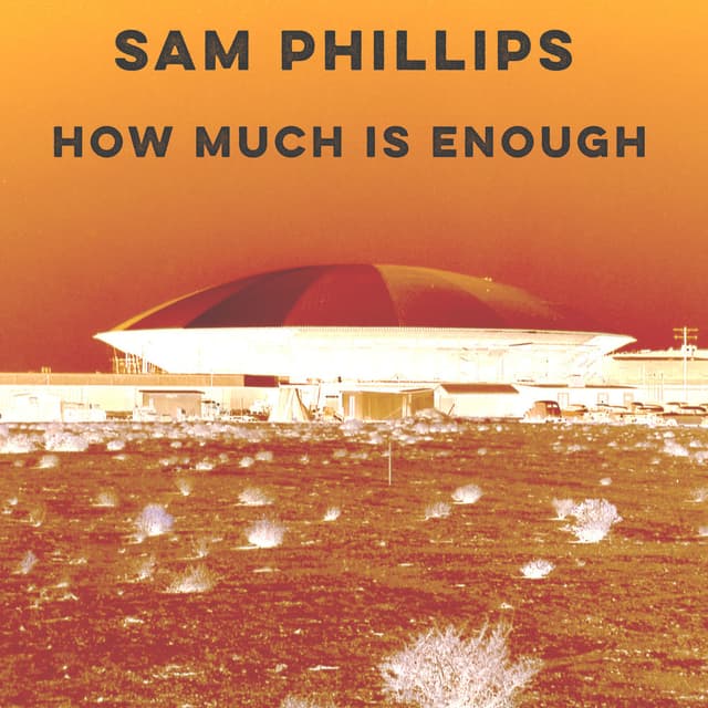 How Much Is Enough cover