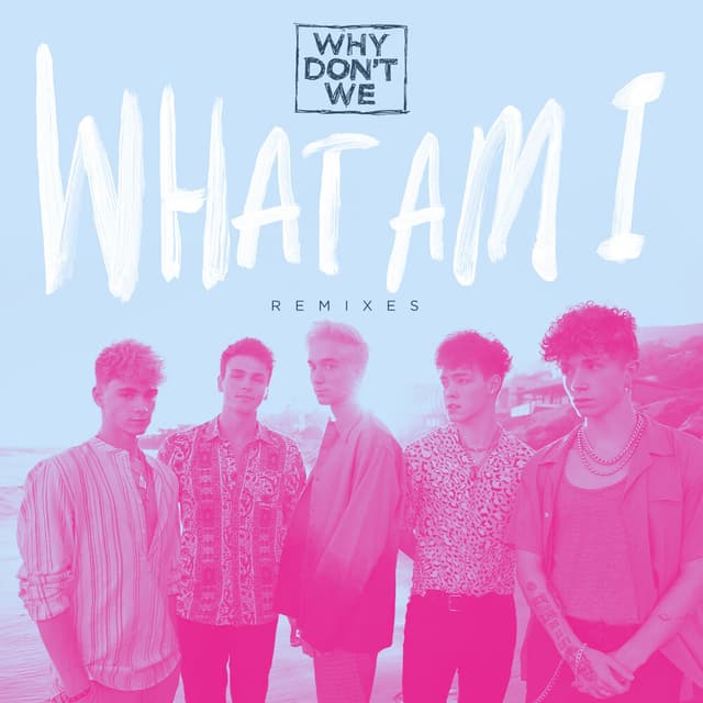 What Am I (Remixes) cover
