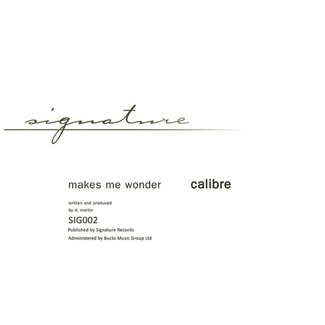 Makes Me Wonder / Got To Have You cover
