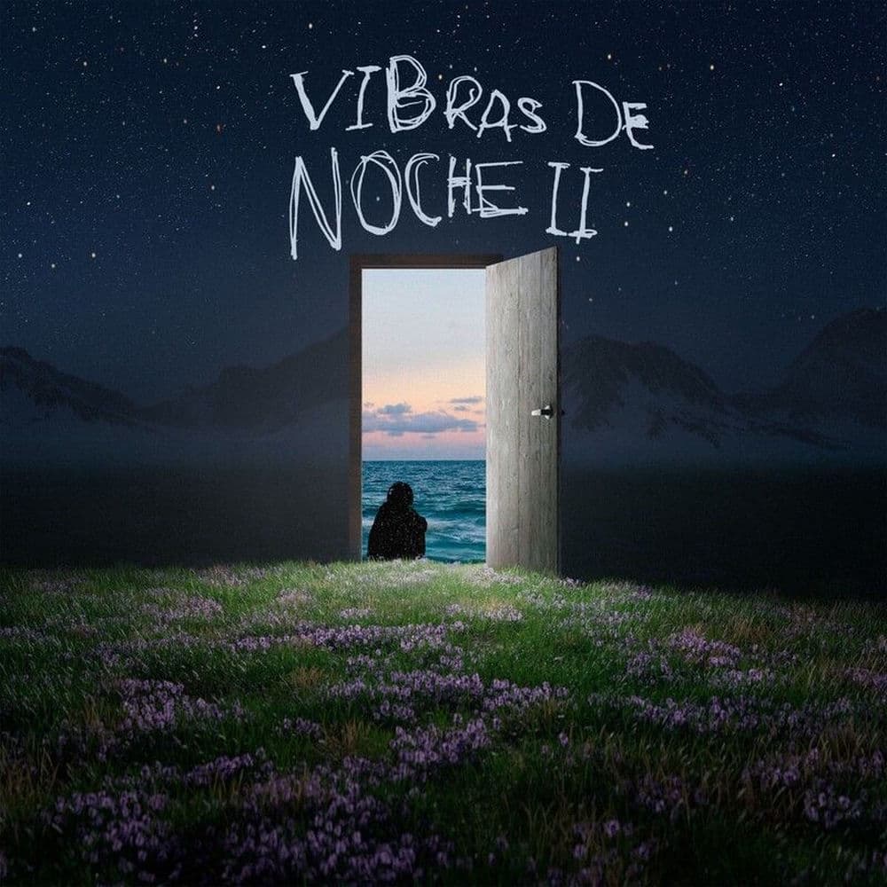 Vibras De Noche II cover