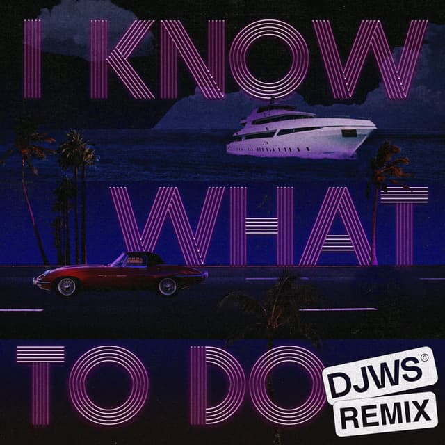 I Know What To Do - DJWS Remix cover