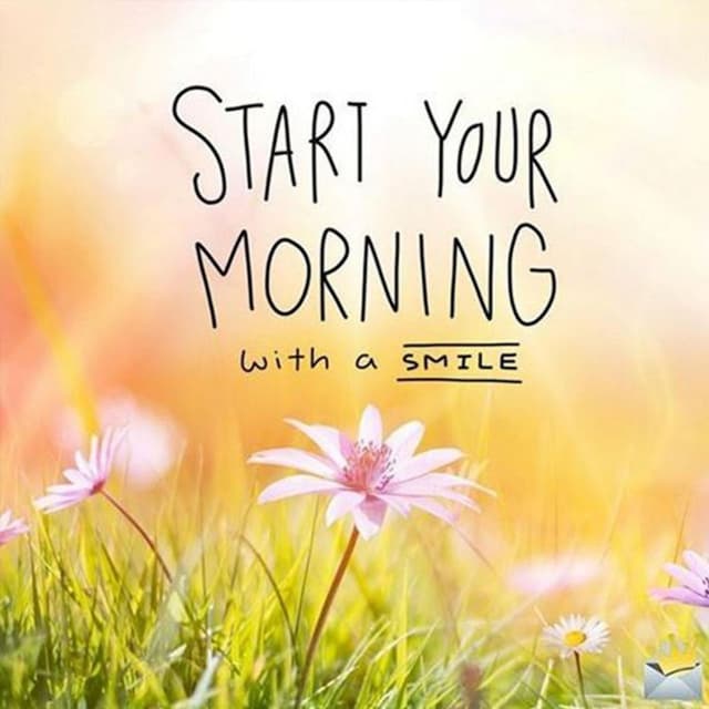 7am cover