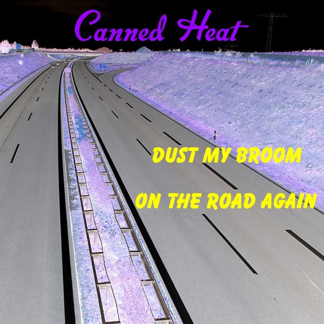 Dust My Broom cover