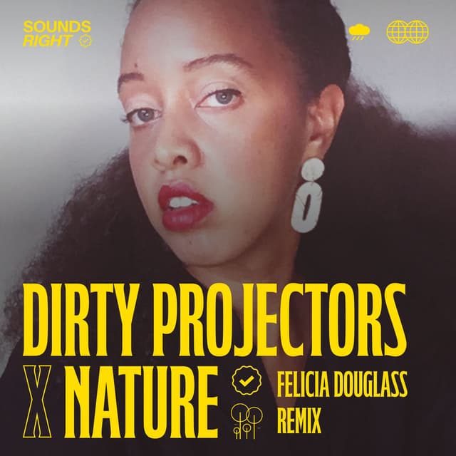 Shifting Shalestones (Felicia Douglass Remix) cover