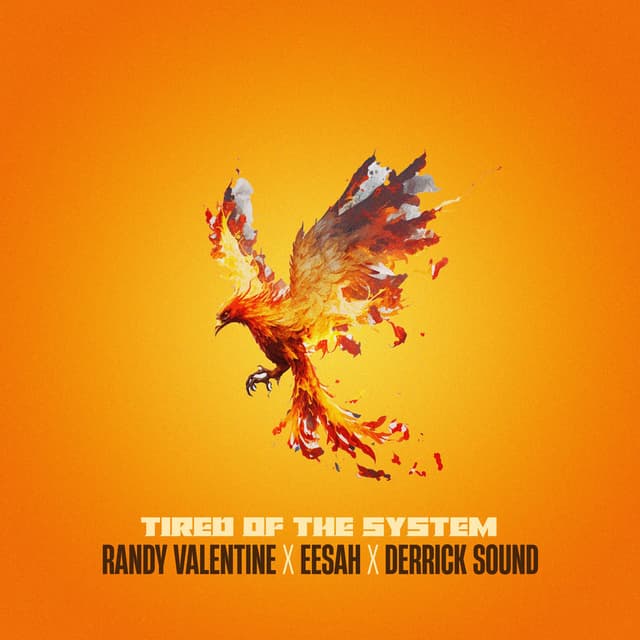 Tired Of The System cover