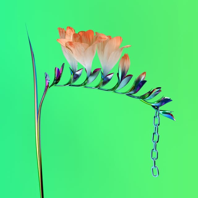 Skin Companion EP I cover