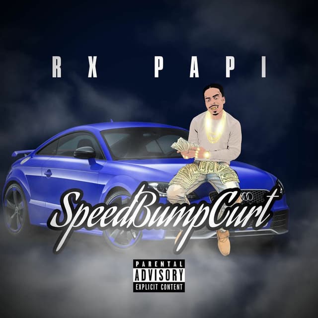 SpeedBump Curt cover